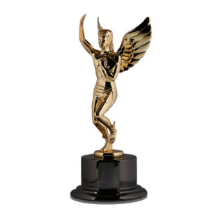 Hermes Gold Creative Award for Web-Based Training